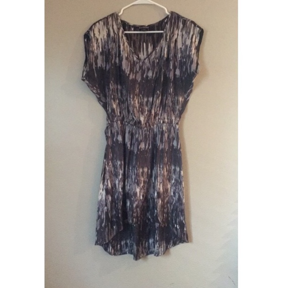 Express “Rauched Waist” Dress